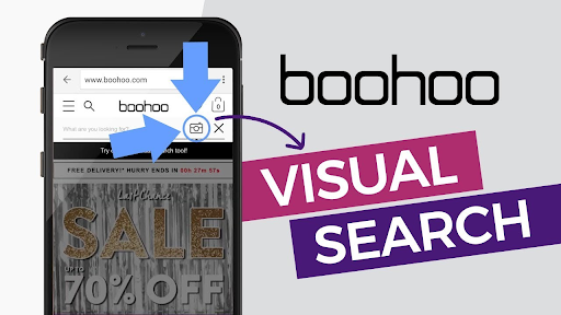 Visual Search